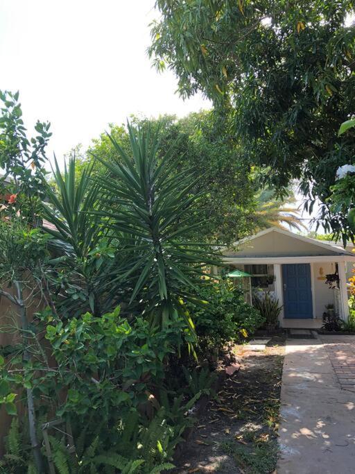 Independent Studio In Little Havana Miami Exterior photo